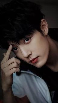 吃瓜者娱乐肖战粉丝多少,吃瓜群众热议,究竟有多少人支持他?