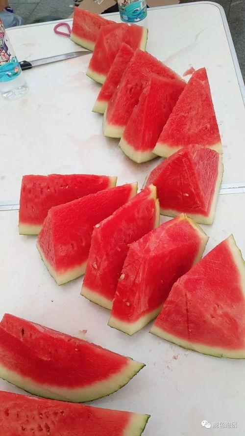 免费吃瓜每日大赛是真的吗,真相还是噱头?