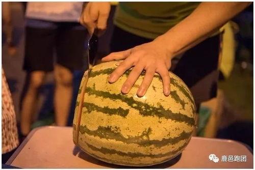 免费吃瓜每日大赛是真的吗,真相还是噱头?