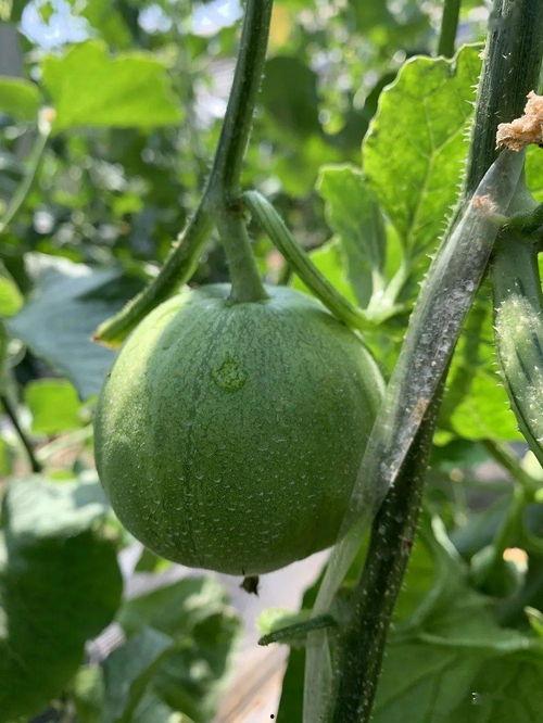 娱乐吃瓜封面如何做的,如何抓住眼球,吸引粉丝