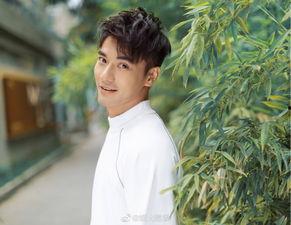 娱乐圈吃瓜大合集真的吗,揭秘明星幕后真相