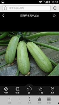 娱乐吃瓜资料来源是什么,揭秘娱乐圈吃瓜背后的信息来源