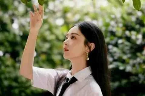 娱乐圈吃瓜顶流是指谁