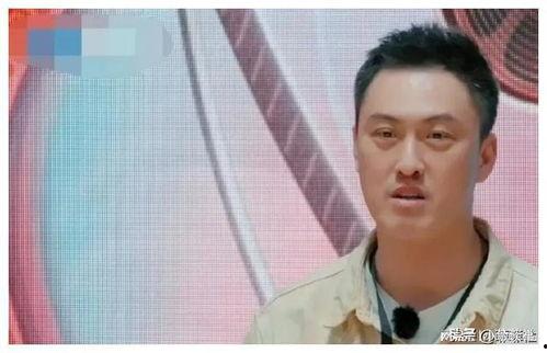 最新吃瓜爆料娱乐圈小说