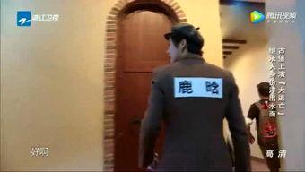 娱乐吃瓜君遛鸟大师身高,娱乐吃瓜君带你探秘娱乐圈身高之谜